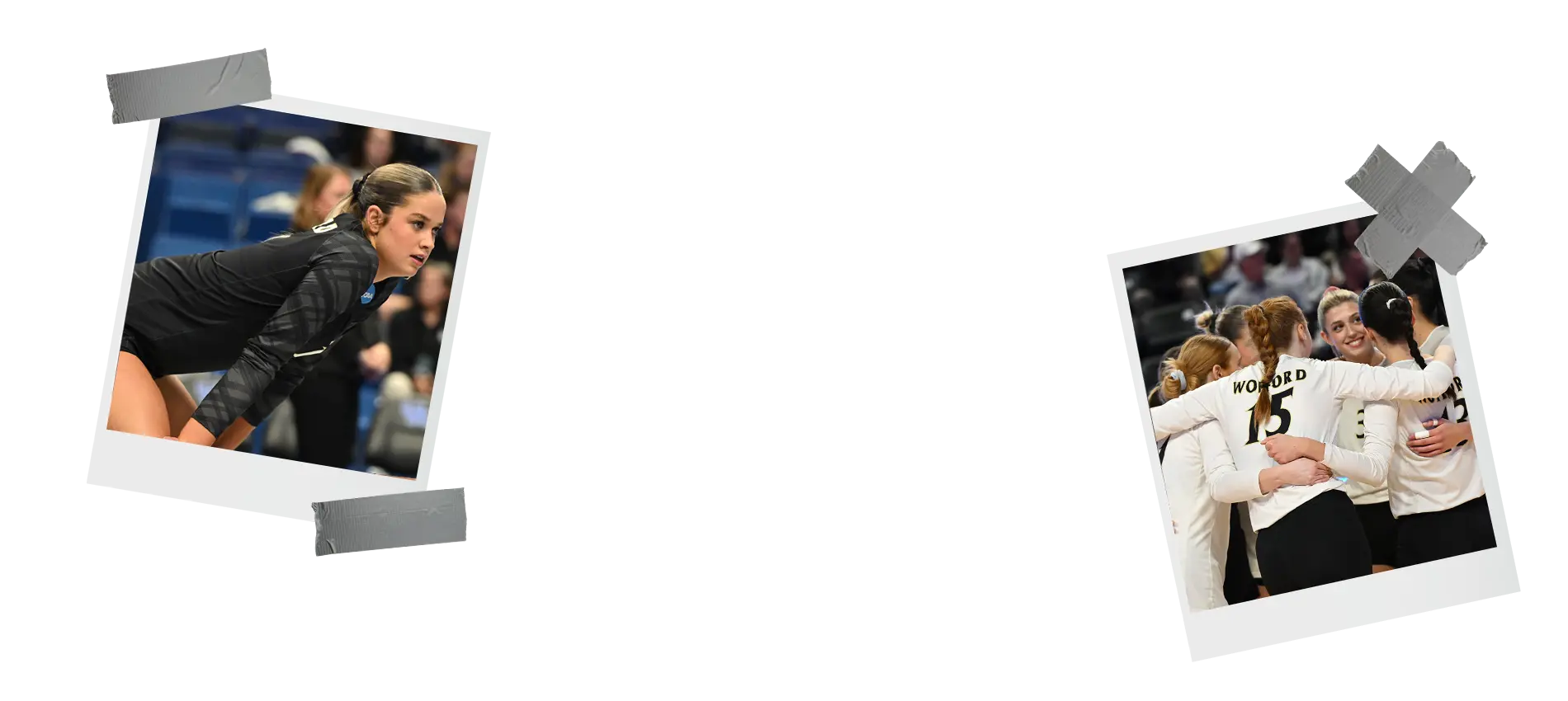 Terrier Volleyball Camps