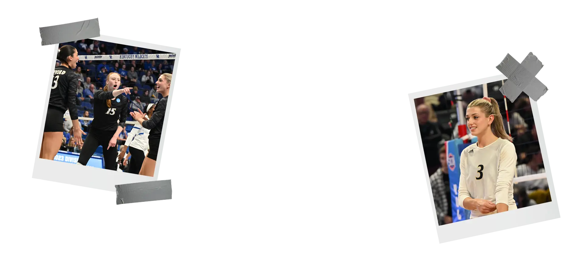 Terrier Volleyball Camps